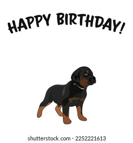 Happy birthday card with dog, holiday design. Present for a dog lover. Funny cartoon dog breed illustration.  Minimalistic greeting card. Fun Rottweiler puppy dog character party postcard.