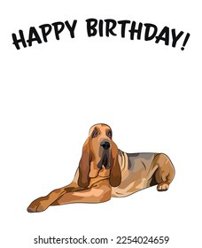 Happy birthday card with dog, holiday design. Present for a dog lover. Cartoon dog breed illustration.  Minimalistic greeting card. Fun Bloodhound dog character party card. Holiday present, surprise.