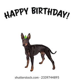 Happy birthday card with dog, holiday design. Present for a dog lover. Funny cartoon dog breed illustration.  Minimalistic birthday card with dog. Fun English toy terrier in hat, birthday party card.