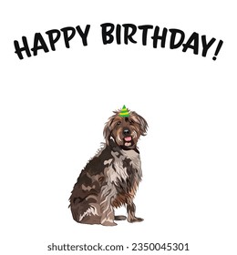 Happy birthday card with dog, holiday design. Present for a dog lover. Funny cartoon dog breed illustration.  Minimalistic birthday card with dog. Fun Wirehaired Pointing Griffon breed pet in a hat.