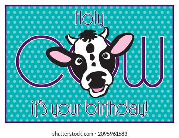 Happy birthday card with funny smiling cow sticking his head through the word cow isolated on a fun teal polka dot background. Cow birthday card 