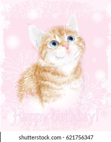 Happy birthday card with little kitten the red marble coloring.  Ginger fluffy kitten. Portrait oh the cat. 