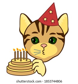 happy birthday celebration emoticon with cake and party hat, funny cartoon cat character with simplistic facial expression, simple hand drawn icon from a set