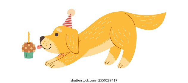 Happy birthday dog wearing crown