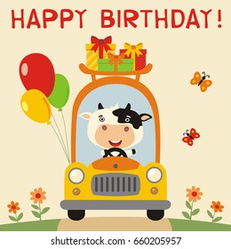 Happy birthday! Funny cow rides in car with gifts and balloons. Greeting card.