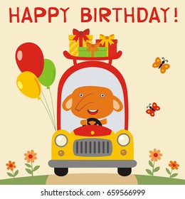 Happy birthday! Funny elephant rides in car with gifts and balloons. Greeting card.