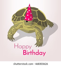 3,075 Turtle party Images, Stock Photos & Vectors | Shutterstock