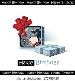 Happy Birthday smile gift rabbit funny