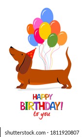 Happy Birthday to you! Greeting card. Celebration white background with Dachshund dog, Balloons and hat. Cute cartoon character. Flat design. Kid greeting card template. Vector illustration