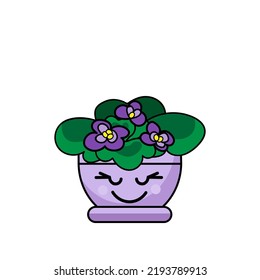 Happy blooming houseplant on white background