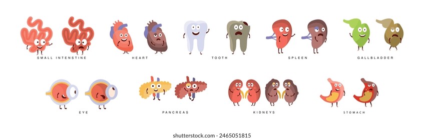 Órgano interno del cuerpo feliz con el sistema del Vector de la cara