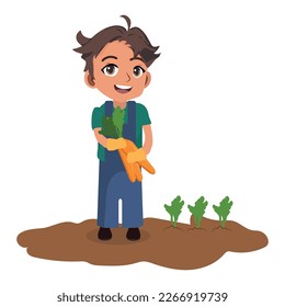 happy boy picking carrots, little farmer.