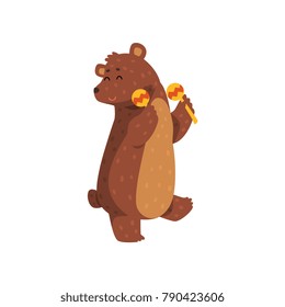 Happy brown bear dancing with maracas. Cartoon wild animal with short tail, small rounded ears and paws with claws. Flat vector for greeting card, sticker, children book