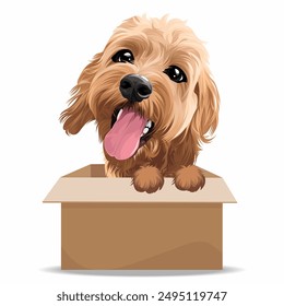 Perro de pelo rizado marrón feliz en Ilustración vectorial de caja