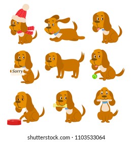 Happy brown dog running jumping playing ball and bringing a bone