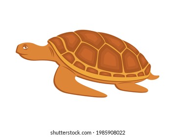 Happy brown sea turtle icon vector. Sea turtle icon isolated on a  white background. Turtle cartoon character