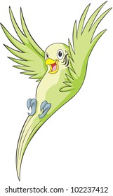 Happy Budgerigar Cartoon