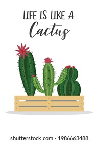 Happy Cactus with message,hand drawn isolated cactus,Cute green cactus in flower,illustrations.
