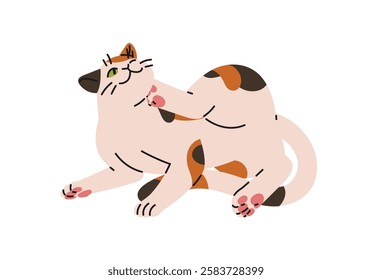 Happy calico cat itching itself. Funny kitten scratches its ear with paw. Cute kitty cares about fur. Pet behavior, body language. Domestic animal life. Flat isolated vector illustration on white