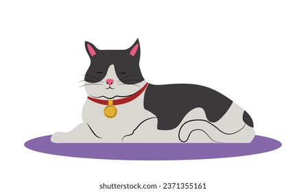 Happy calm cat sleeping, relaxing on mat. Cute home kitty lying, resting. Sleepy feline animal with collar. Quiet serene kitten on rag. Flat vector illustration isolated on white background