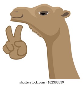 Happy camel