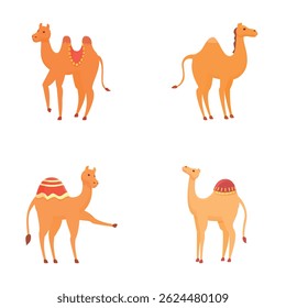 Ícones de camelo feliz definir o vetor de desenhos animados. Diferente tipo de camelo de desenho animado. Animal do deserto