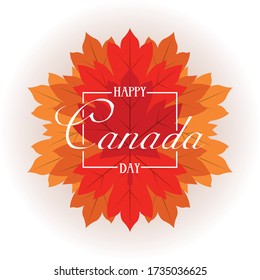 happy canada day with maple leafs frame vector illustration design