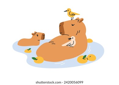 Happy capybara family. Cute capy mom and baby. Funny capibara mother and cub characters swimming, bathing, relaxing in water with birds, apples. Flat vector illustration isolated on white background.