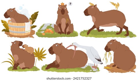 Feliz capibara animal salvaje disfrutando de diferentes actividades divertidas aisladas. Criatura marrón divertida tomando agua en baños de madera, jugando con loro, garza, zoológico encantador de la familia de mascotas kawaii ilustración vectorial