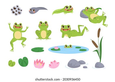 Happy cartoon frogs vector illustrations set. Drawings of cute green amphibian resting, jumping, tadpole, toad eggs, lotus flower and leaves isolated on white background. Nature, animals concept