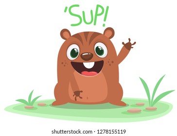 Happy cartoon groundhog saying sup. Happy groundhog day. Vector illustration