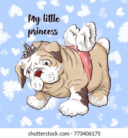 Happy cartoon puppy dog, Portrait of cute little dog wearing collar.