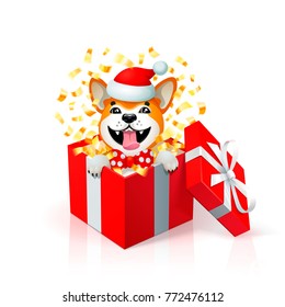 Happy cartoon puppy in gift box wearing santas hat. Portrait of Akita inu japanese dog as 2018 new year symbol. new year card. Christmas poster with yellow dog in red box. Vector illustration.