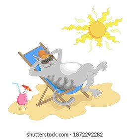 happy cat basking in the sun on a sandy beach in a sun lounger