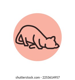 Happy cat caresses color line icon. Pictogram for web page, mobile app, promo.