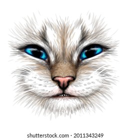 Happy Cat. Creative design. Color portrait of a smiling cat with blue eyes close-up on a white background. Digital vector graphics