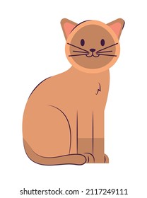 happy cat design over white