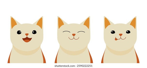 Happy cat with different feline emotions. Playful cat. Fed cat. Peaceful and sleepy cat. 