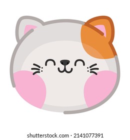 cara de gato feliz sobre blanco