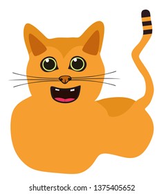 happy cat isolated on white