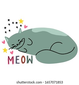 Happy cat on a white background