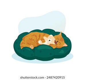 Happy cat playing with a toy on her bed.