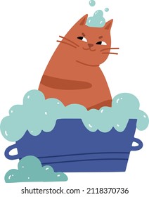 Happy cat sits in a bath with soapy foam. Washing at home or salon. Grooming taking care of domestic animal pet. Flat cartoon vector illustration for banner, sticker label and greeting card