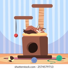 Happy cat sleeping on his house. Home for pet with toys and scratching post. Cute domestic kitten lying. Purebred adorable home animal. Cartoon flat style isolated illustration. Vector concept