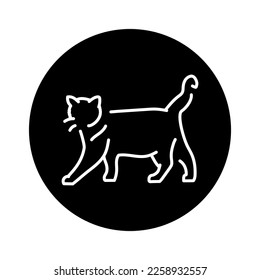 Happy cat standing color line icon. Pictogram for web page, mobile app, promo.