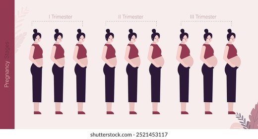 Chica caucásica feliz con cambios en el cuerpo de la mujer en el embarazo. Principales etapas del embarazo. Maternidad, retrato de mujer embarazada feliz. Tres trimestres. Etapa mensual, infografía médica. Bebé esperando.