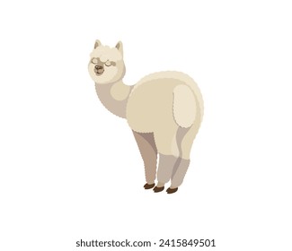 A happy cheerful llama.Vector drawing of a cartoon animal. A cute alpaca. Funny vector illustration. Wildlife of Peru, South America.