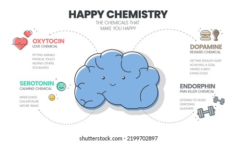 Happy Chemistry infographic has 4 types of Chemical hormones such as Oxytocin (Love), Serotonin (Calming), Dopamine (Reward) and Endorphin (Pain Killer). Happy chemicals concept. Presentatation slide.