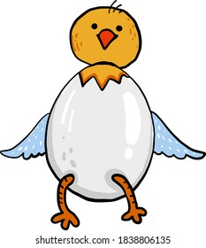Chick feliz en huevo, ilustración, vector en fondo blanco