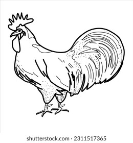 Happy chicken clipart. Farm Animals, Rooster, Hen, Bio Eggs, Coop, Chicks, Nest, Eco Village. Isolated elements. Stock illustration. Hand painted line art, doodle.